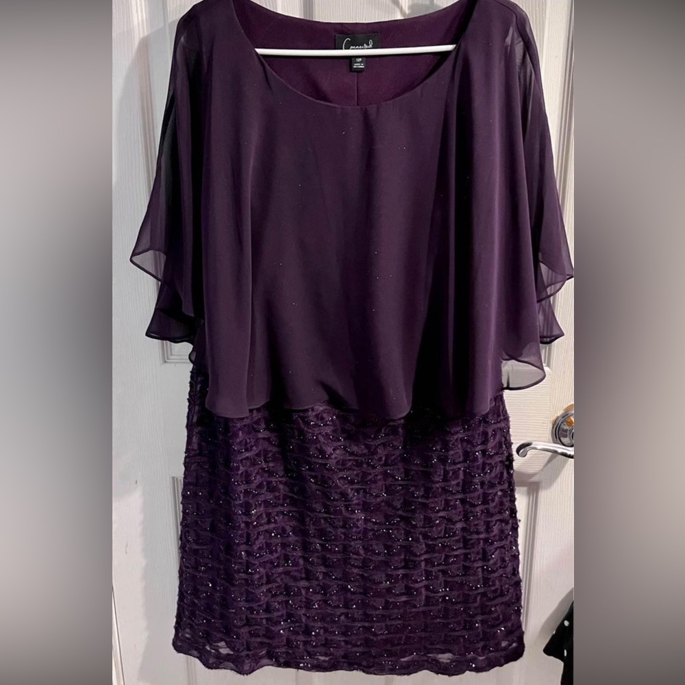 Dress Plum size 12P